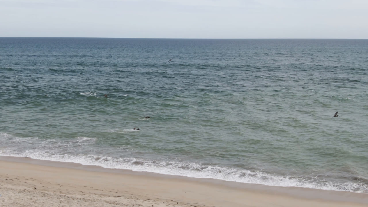 Wide beach and ocean view with small surfers offshore