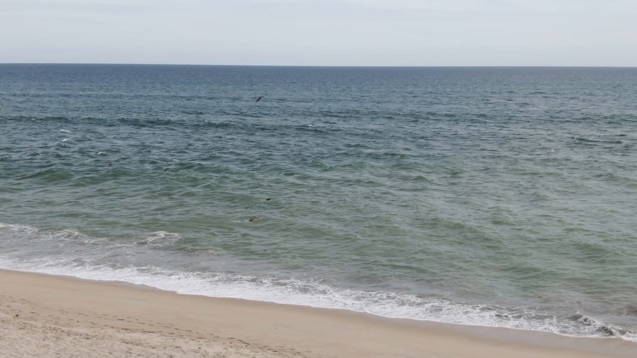 San Jose del Cabo shoreline frame with low waves curling toward sand and several small surfer silhouettes spaced across the midground water.