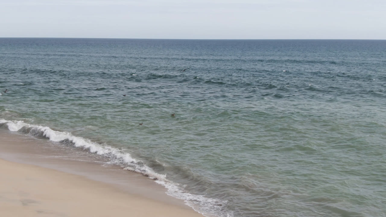 Opening frame of the San Jose del Cabo shoreline, with pale sand at the bottom, green-blue water across the frame, small birds over the ocean, and no visible people.