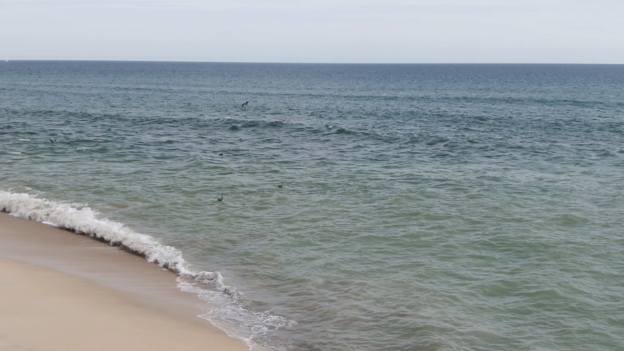 At one second, a white surf line curls toward the pale sand while the San Jose del Cabo ocean fills the middle distance and small birds remain visible over the water.