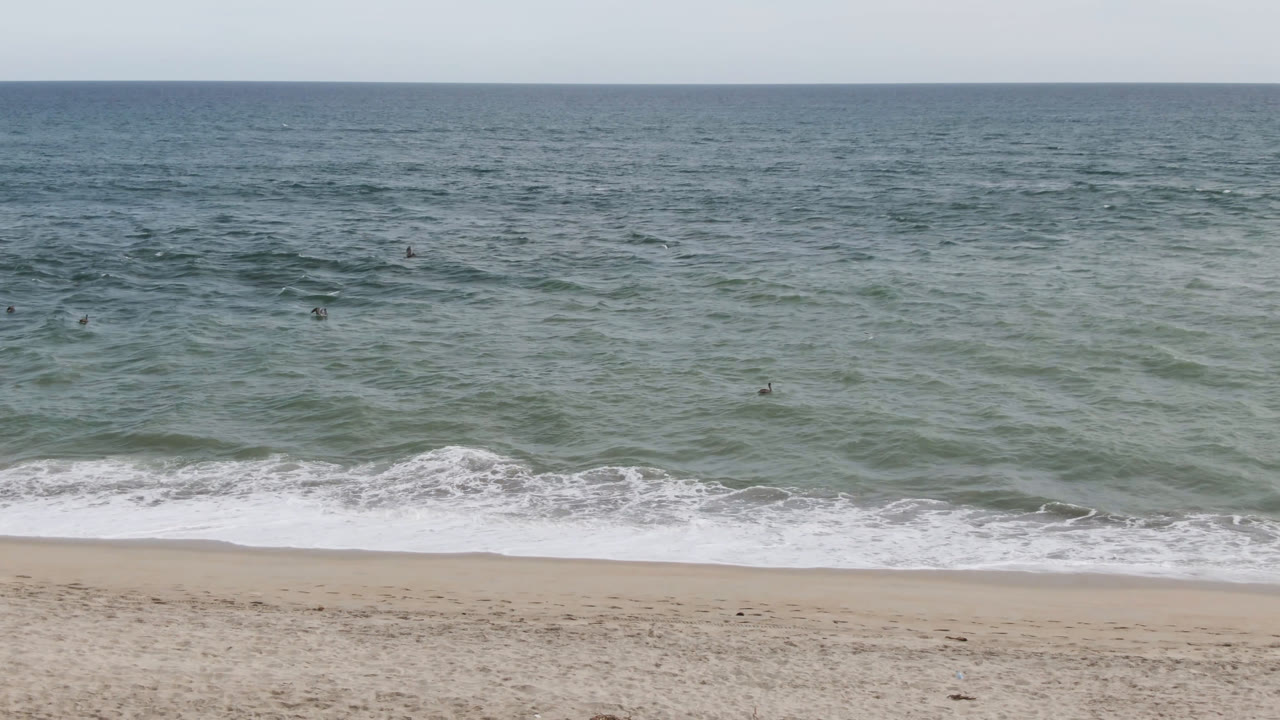 San Jose del Cabo surf rolls toward a light sandy beach, with small dark figures visible beyond the whitewater and a straight ocean horizon above.