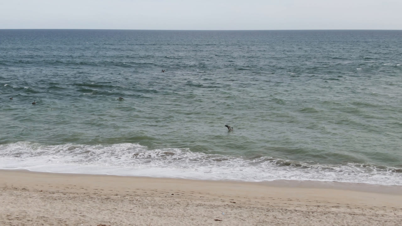 Elevated view of the San Jose del Cabo beach with a thin band of sand below, foamy surf at mid-frame, and tiny people spread across the water.