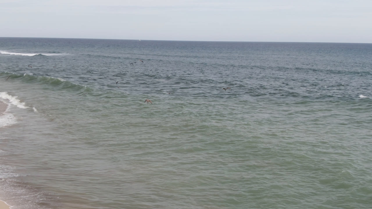 Wide high-angle view of San Jose del Cabo surf with pale sand at the bottom edge, green-blue water, white wave lines, distant surfers, and a level ocean horizon.