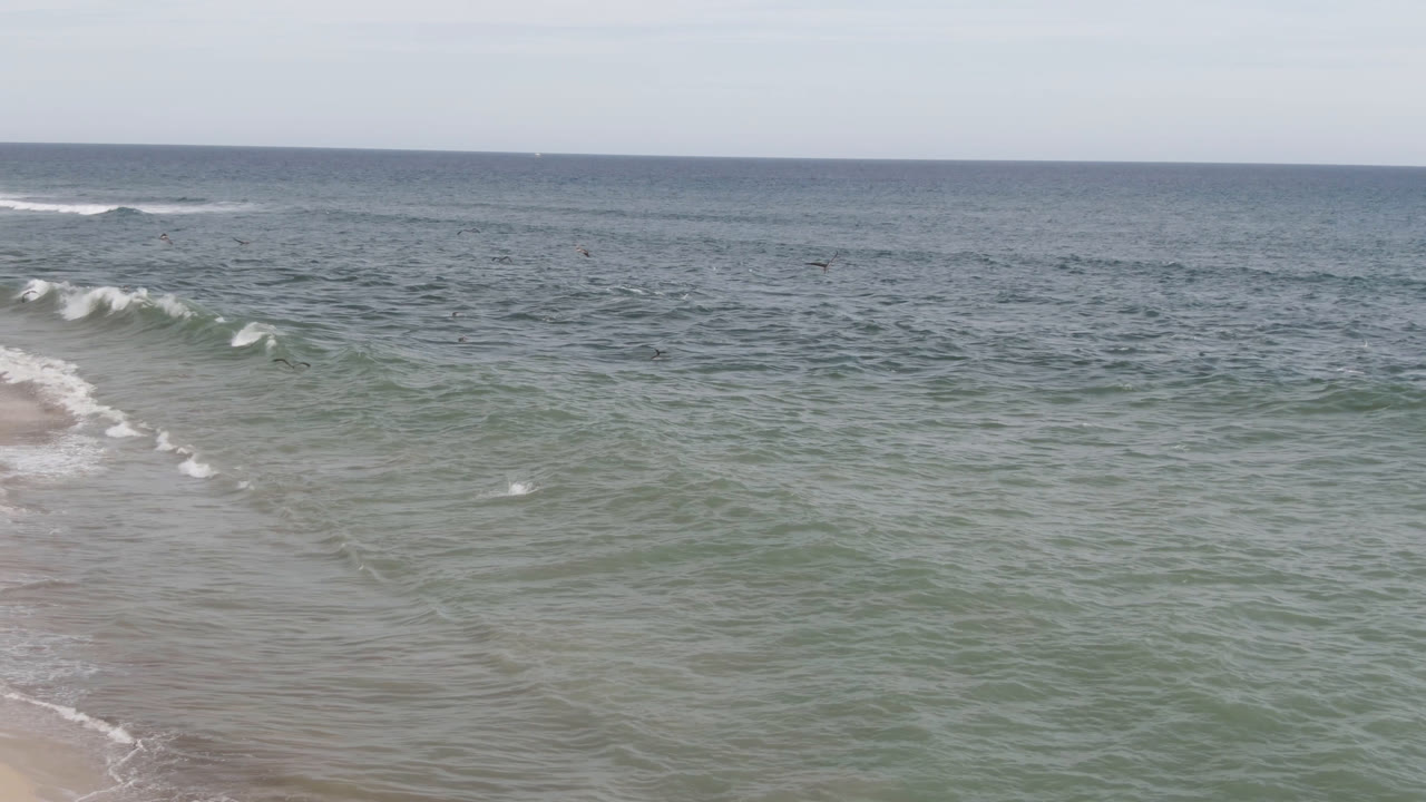 San Jose del Cabo shoreline view with a diagonal wave breaking toward the beach, muted green water, distant surfers in the midground, and open ocean beyond.