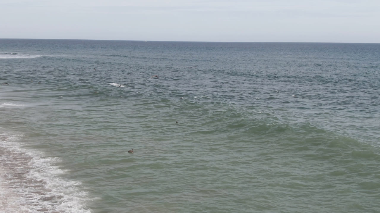 Wide ocean view with small surfers and low waves.
