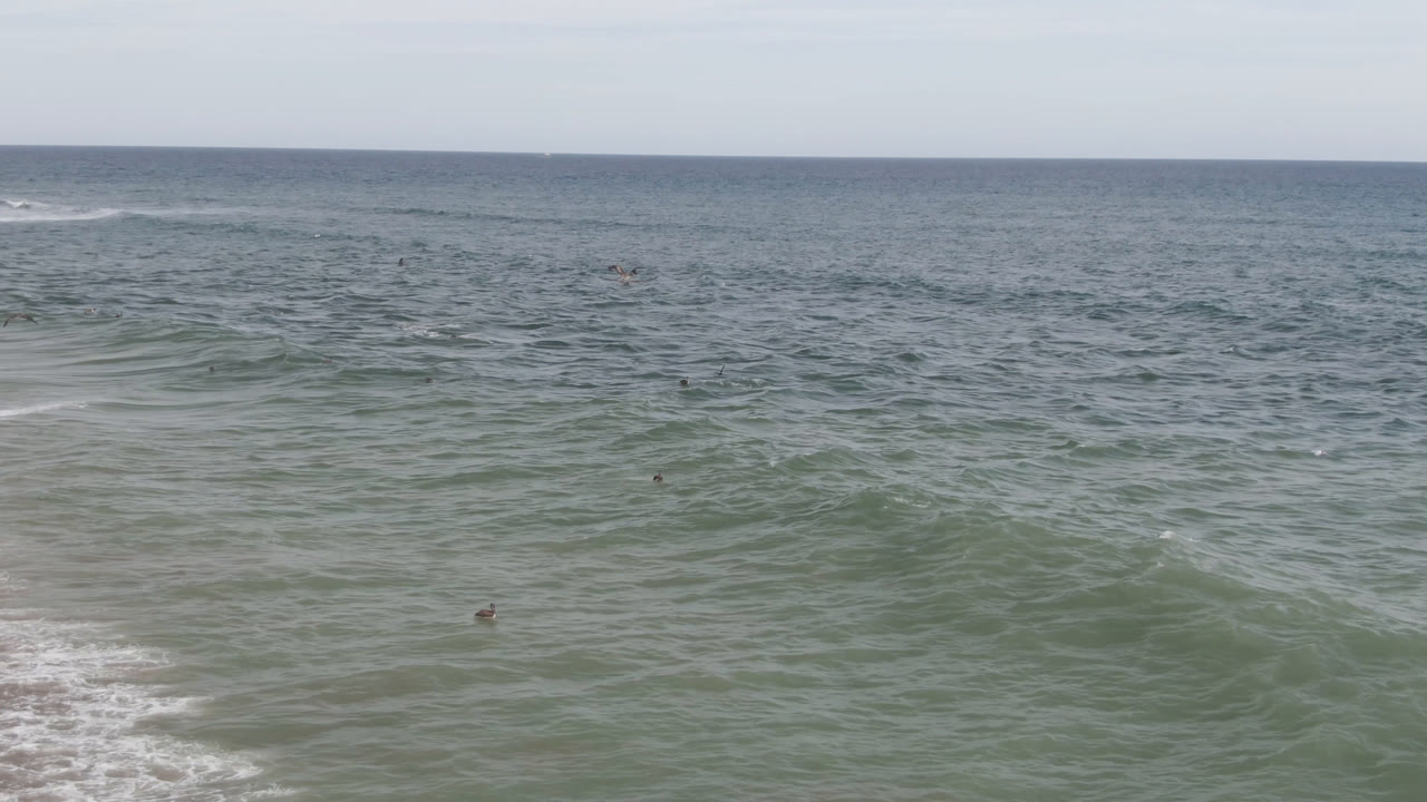 San Jose del Cabo ocean water fills the frame as small surfers sit or paddle between soft wave lines under pale daylight.