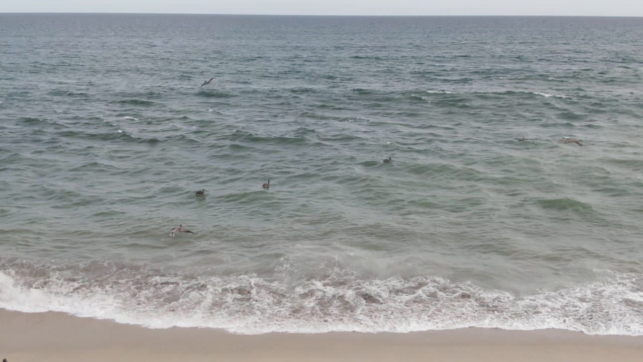 Small birds appear across textured ocean water in San Jose del Cabo, with a thin band of sandy beach and white foam visible at the bottom and no visible people.