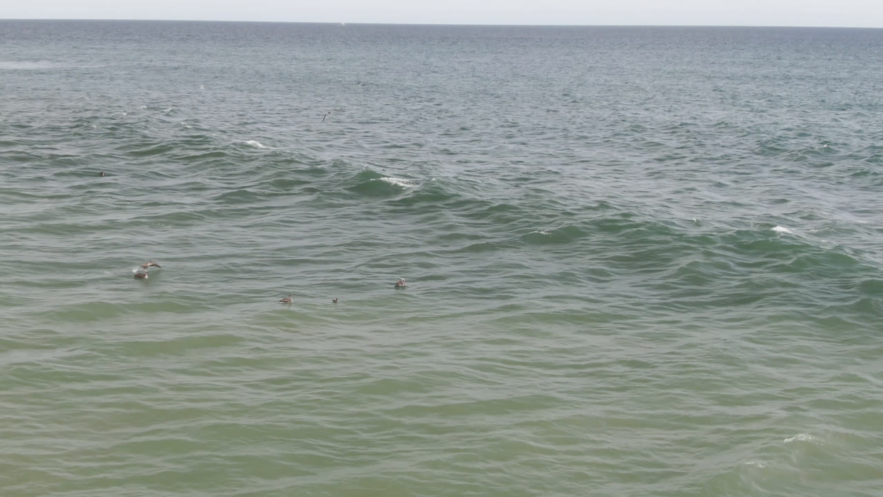 Wide 0:00 view of the ocean at San Jose del Cabo, Baja California Sur, Mexico, with a high horizon, green-blue water, small rolling waves, and distant surfers barely visible across the midground.