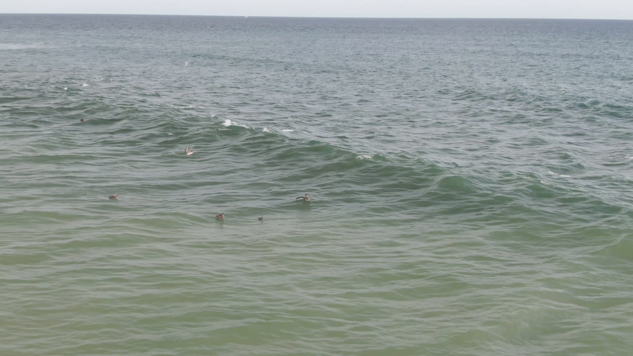At 0:01, choppy green-blue water fills the frame at San Jose del Cabo, with the horizon near the top and several tiny surfers or boards visible as small dark points in the midground.