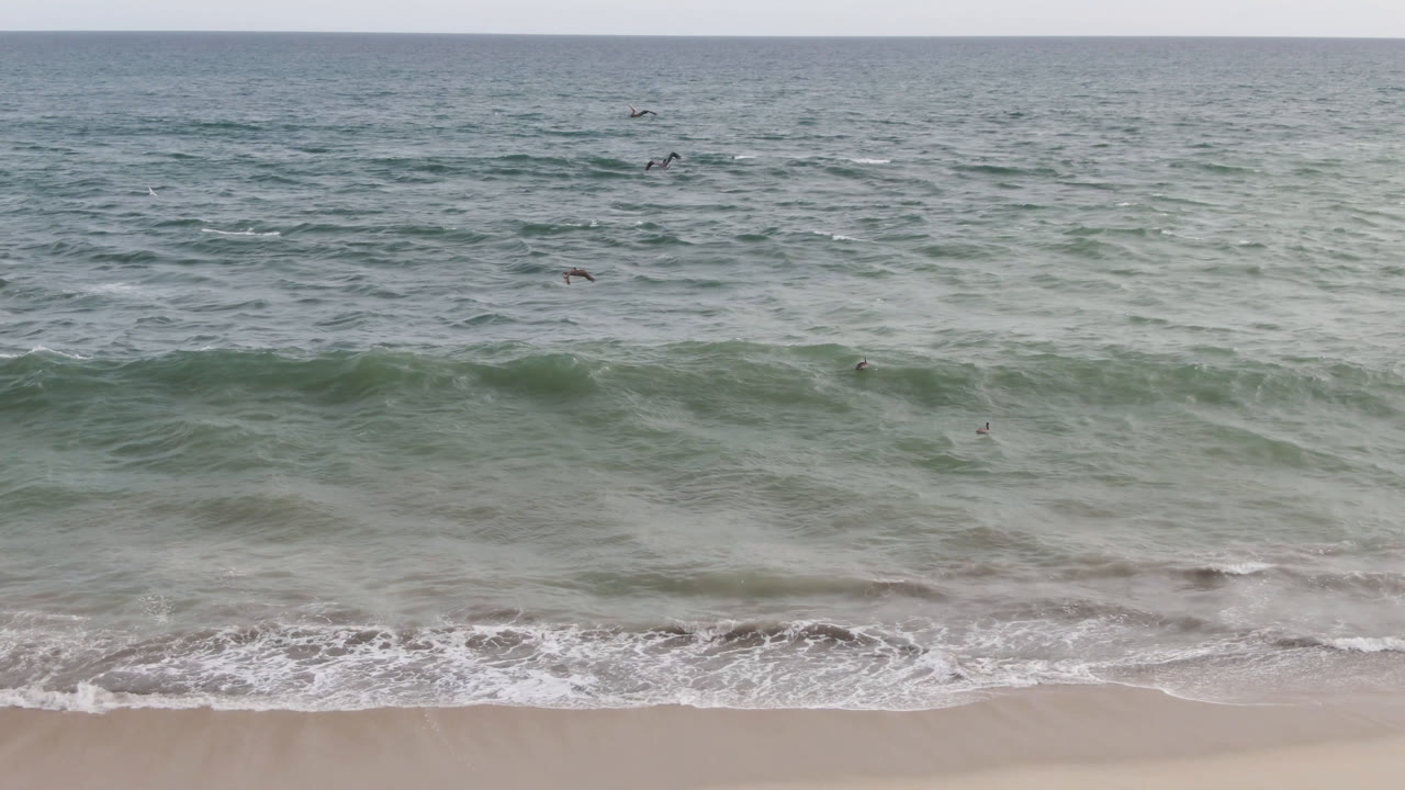 Elevated view of San Jose del Cabo surf with green-blue water, a pale sandy shoreline, seabirds above the ocean, and tiny offshore figures too distant to identify clearly.