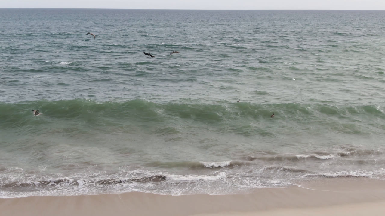 San Jose del Cabo shoreline with a darker wave band forming near the sand, white foam along the beach, seabirds in flight, and tiny surfers or swimmers offshore.