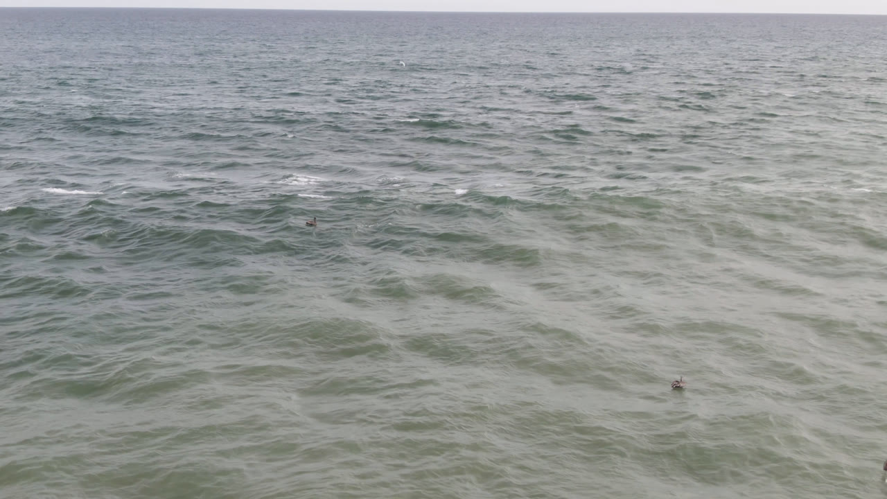 A wide aerial frame over San Jose del Cabo ocean water shows small birds separated across the surface as darker wave bands move through the midground, with no visible people.