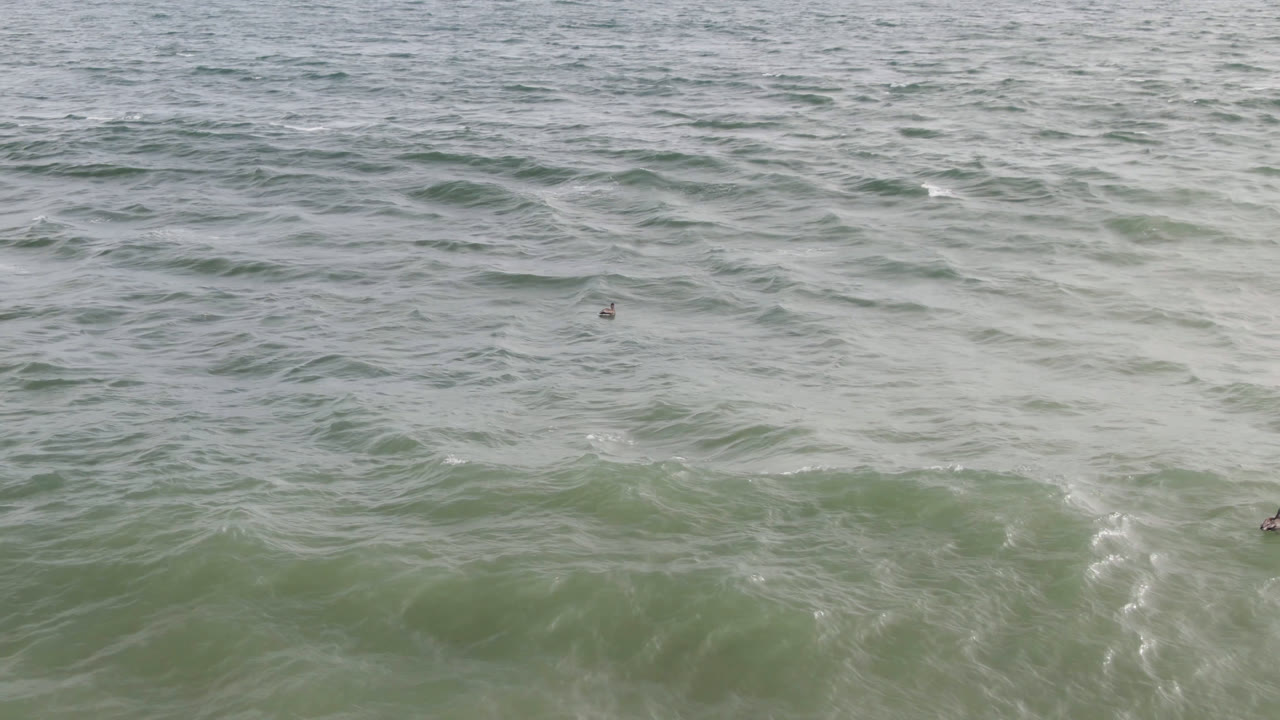 Aerial view over green-blue ocean water in San Jose del Cabo, Mexico, with white foam bands and several tiny distant surfers visible near the upper half of the frame.