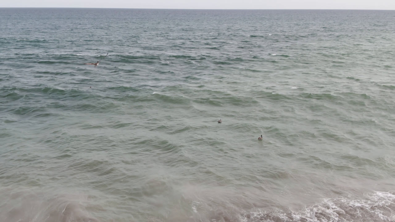 Wide ocean view with small surfers in rolling waves