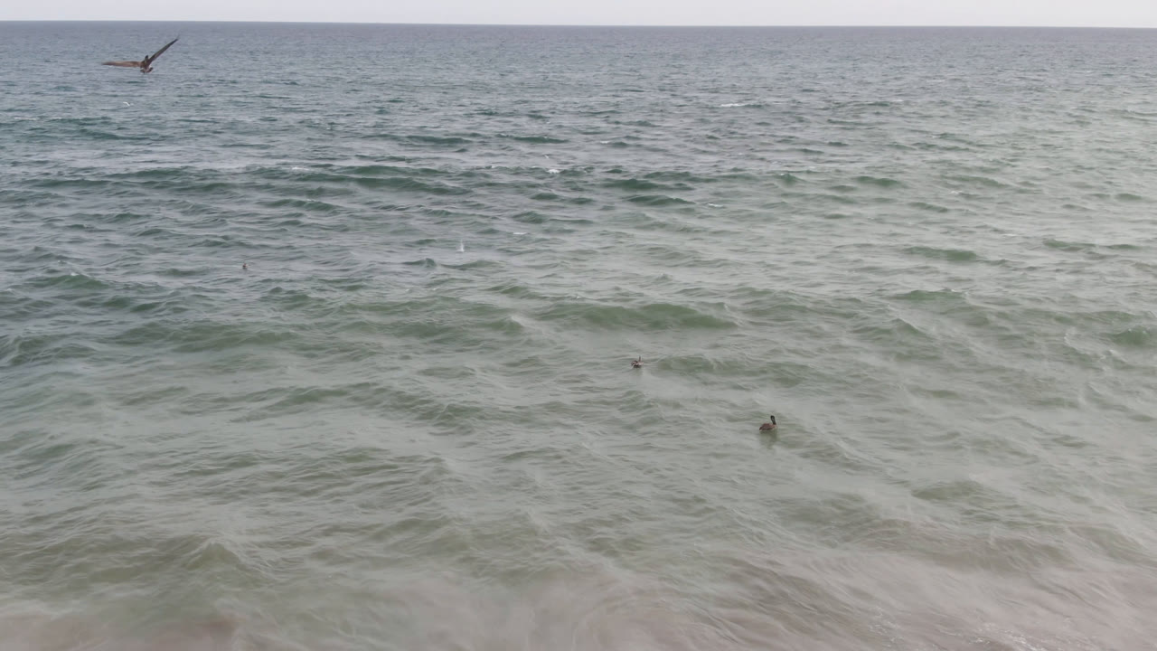 San Jose del Cabo ocean swells fill the frame as tiny surfer figures sit beyond the near wash and the horizon stays high in the composition.