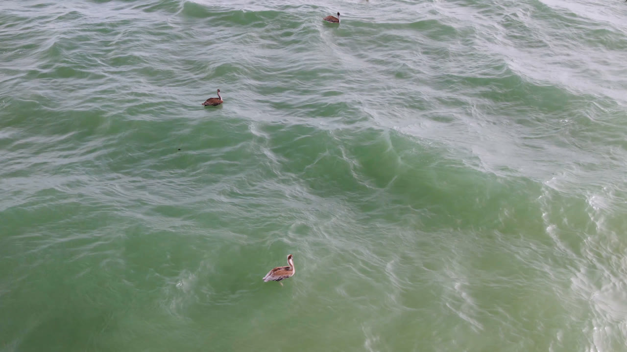 Overhead green ocean water with foam lines and small distant swimmers.
