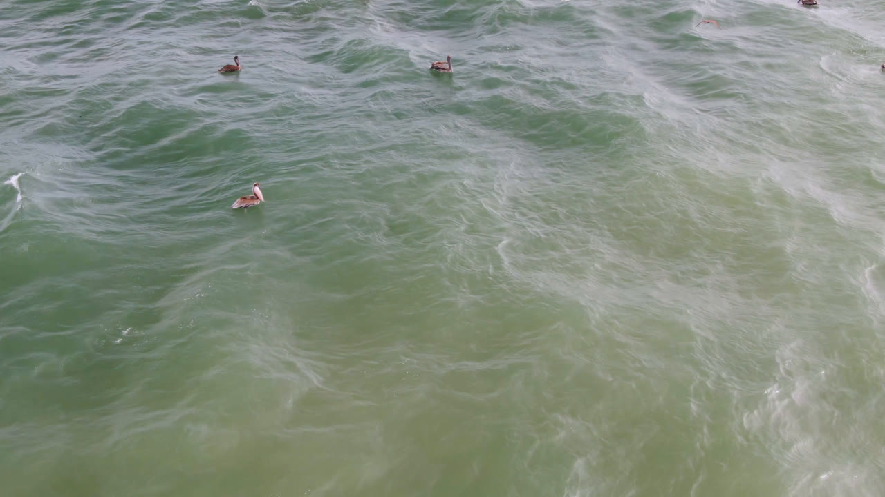 Overhead view in San Jose del Cabo, Baja California Sur, showing several small swimmers spread across green ocean water with pale foam lines running through the waves.
