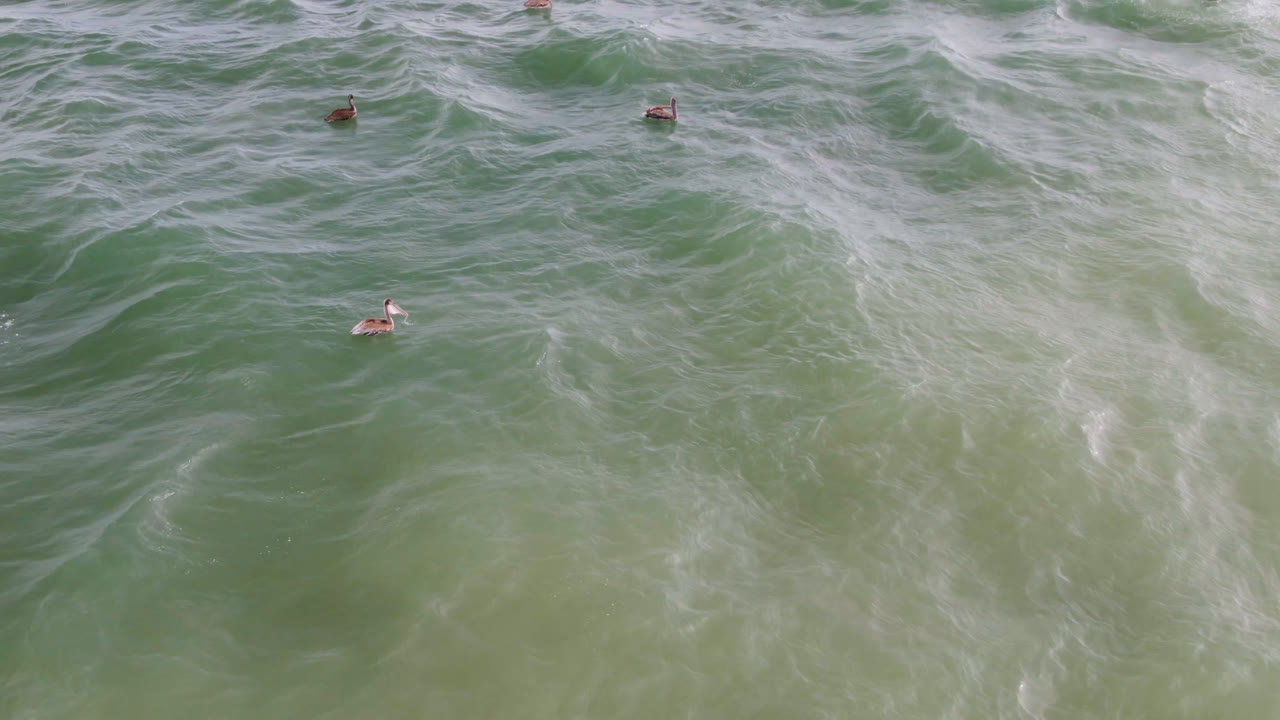 A later overhead frame from San Jose del Cabo shows the swimmers slightly shifted within the green water as broader bands of white foam cross the surface.