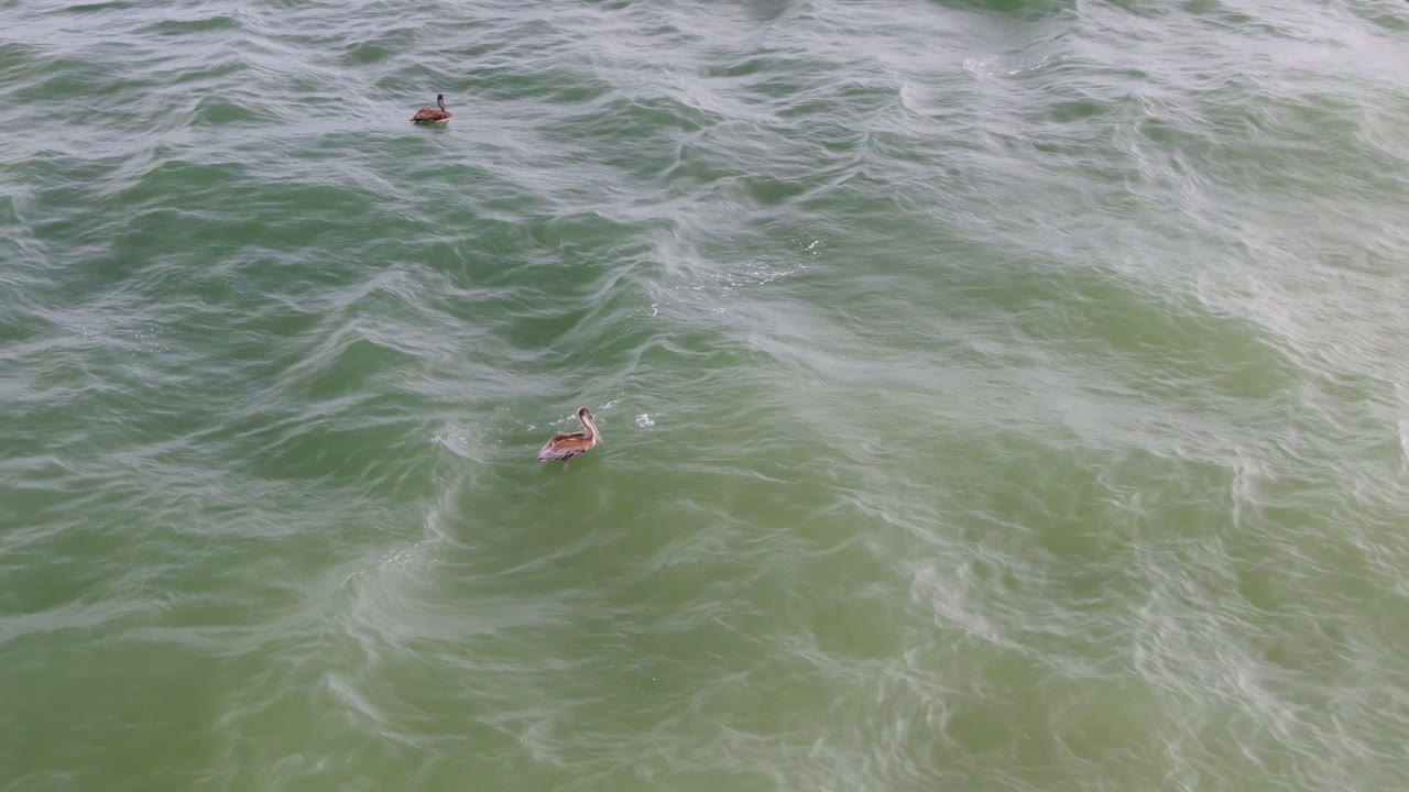 Aerial view of surfers on green ocean water with white foam streaks.