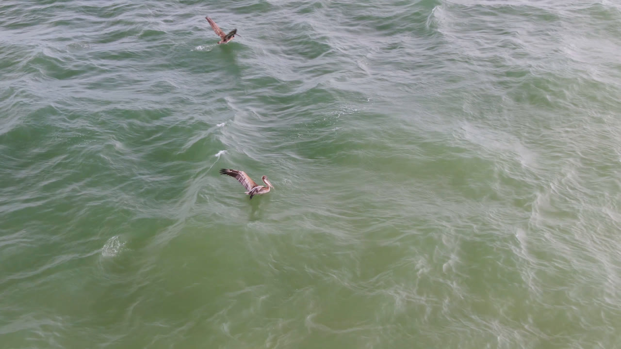 Aerial frame from San Jose del Cabo with small surfers positioned far apart on rippled green water and thin bands of white foam crossing the surface.