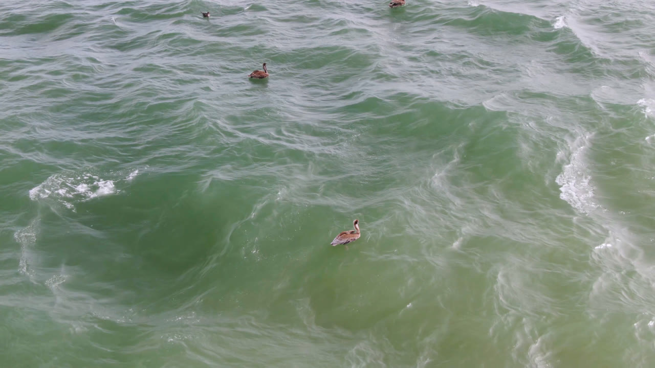 Top-down aerial view of green ocean water in San Jose del Cabo with white foam lines and small distant surfers on boards near the upper and lower portions of the frame.