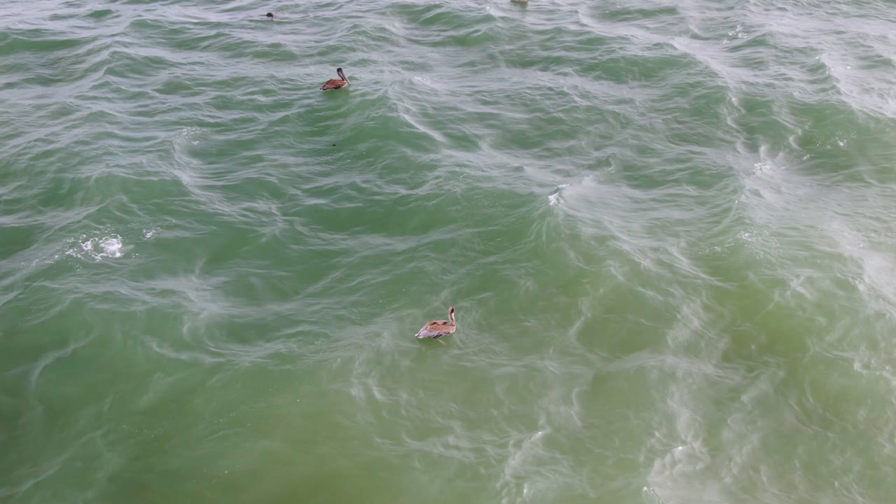 Aerial San Jose del Cabo ocean frame with pale foam tracing across green water and distant surfboard riders separated across the upper and lower areas.