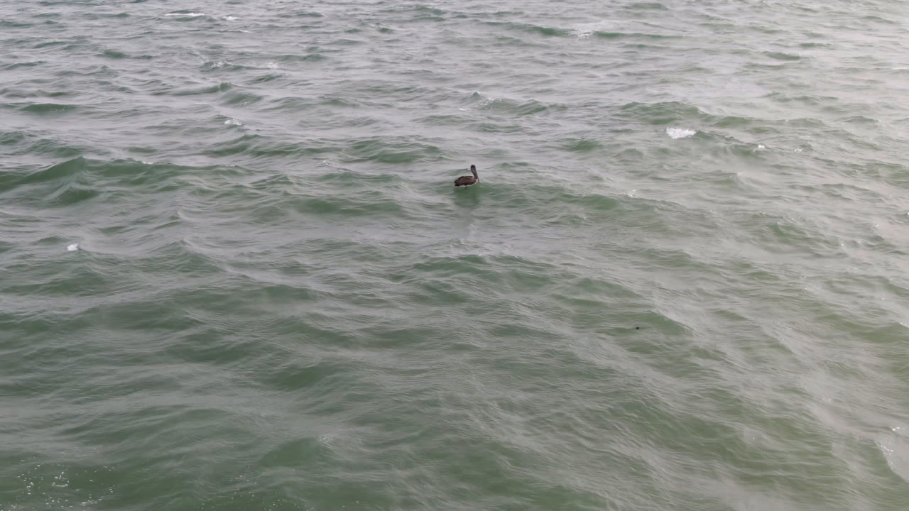 Distant person on a surfboard in textured green ocean water.