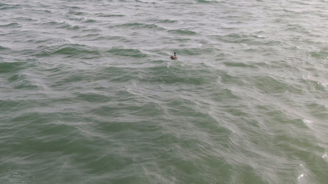 A small person and surfboard remain near the upper part of the San Jose del Cabo ocean frame as pale wave streaks move across the water.