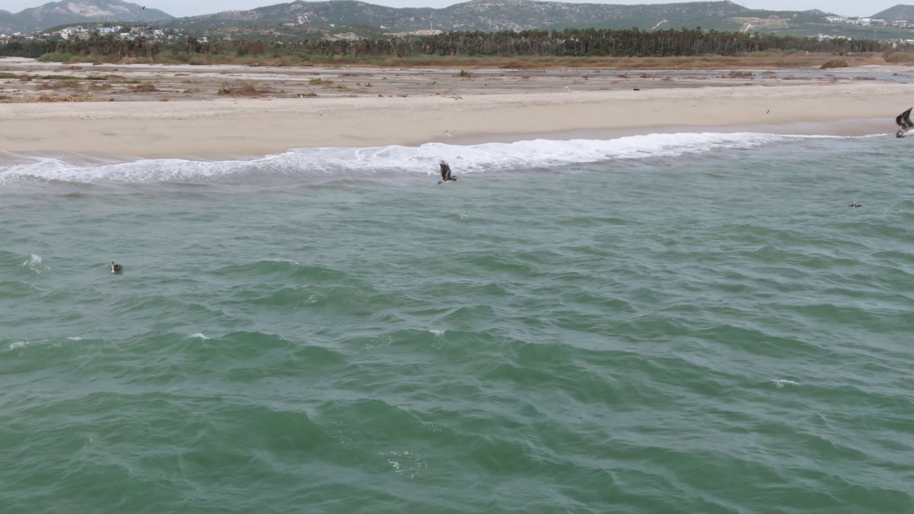 At San Jose del Cabo, birds fly above green-blue ocean water near a pale sand beach, with white surf, distant hills, and no visible people.