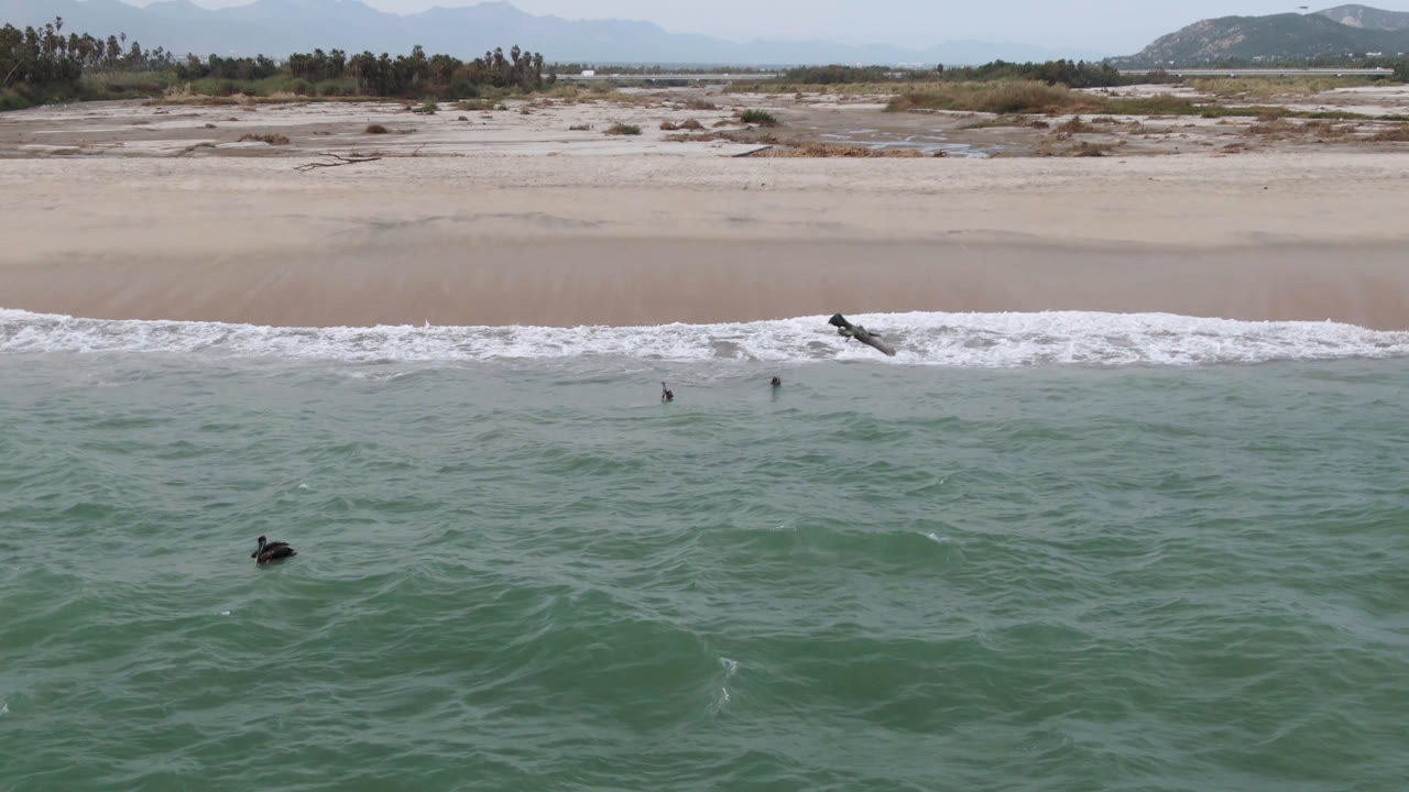 Aerial frame over San Jose del Cabo surf with several small surfers spaced across the water, a white wave breaking toward shore, and pale sand stretching behind it.