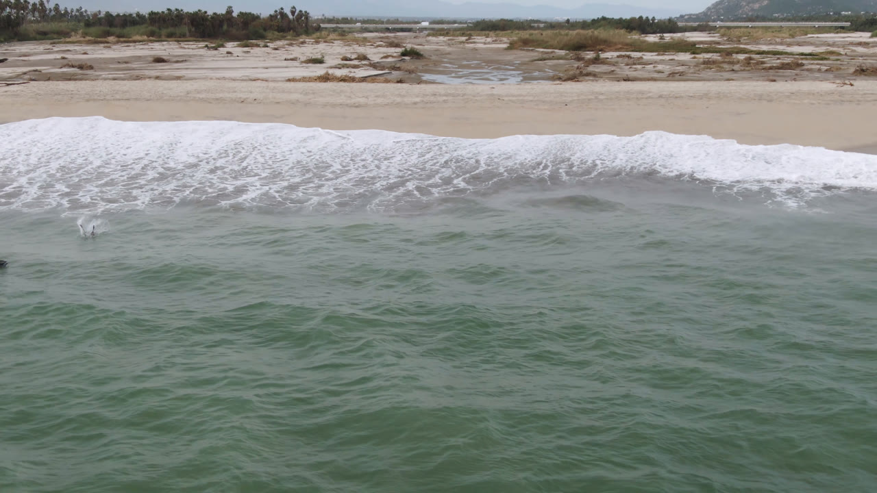 Aerial view of surfers in green ocean beside breaking waves and sandy beach.
