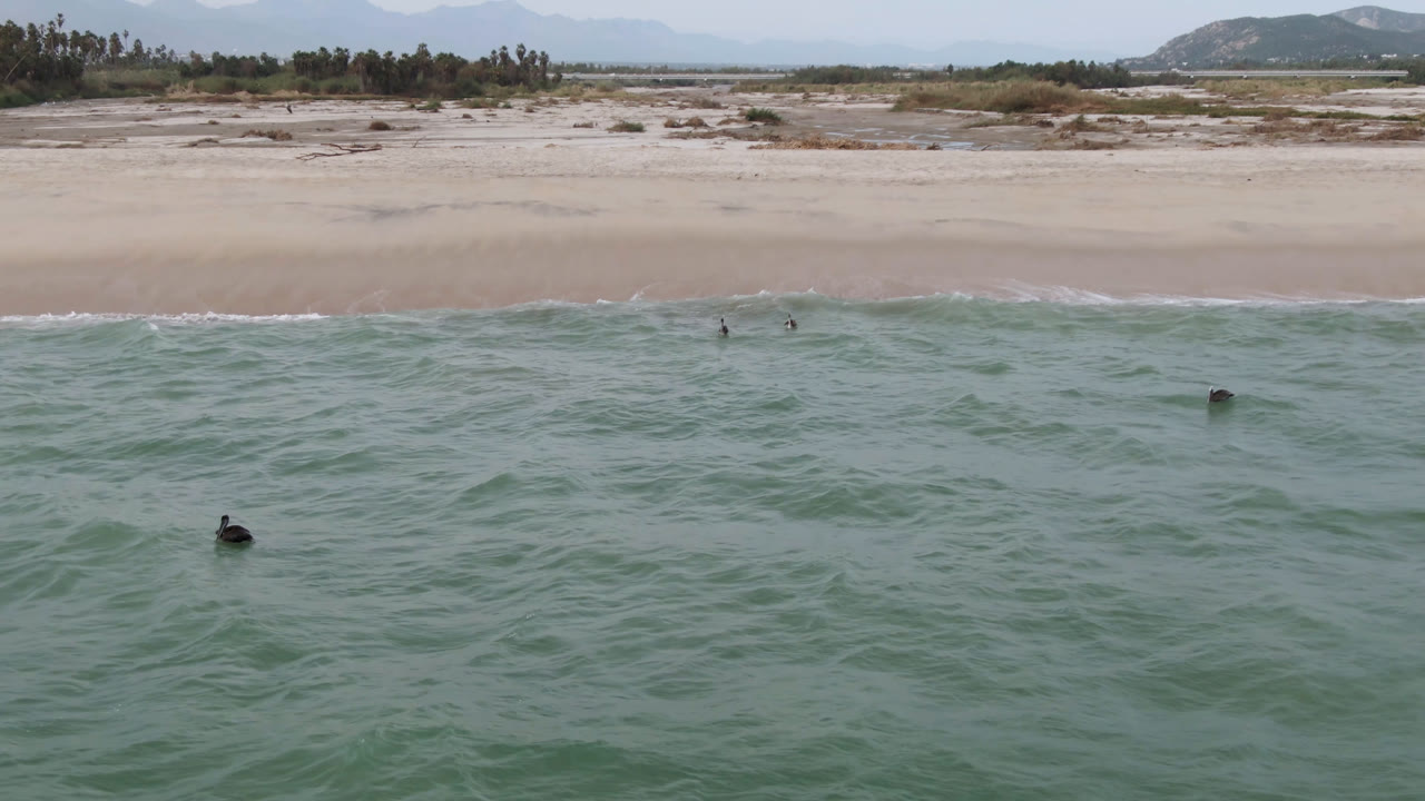 Wide aerial frame over San Jose del Cabo showing scattered surfers in green water, a pale beach, low shoreline vegetation, distant hills, and no recognizable people.