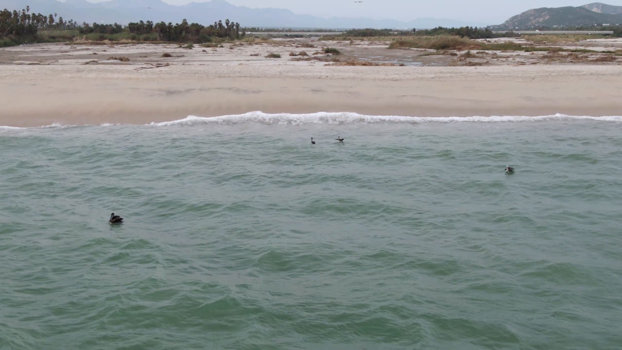Several surfers are spread across the ocean in front of an empty beach.