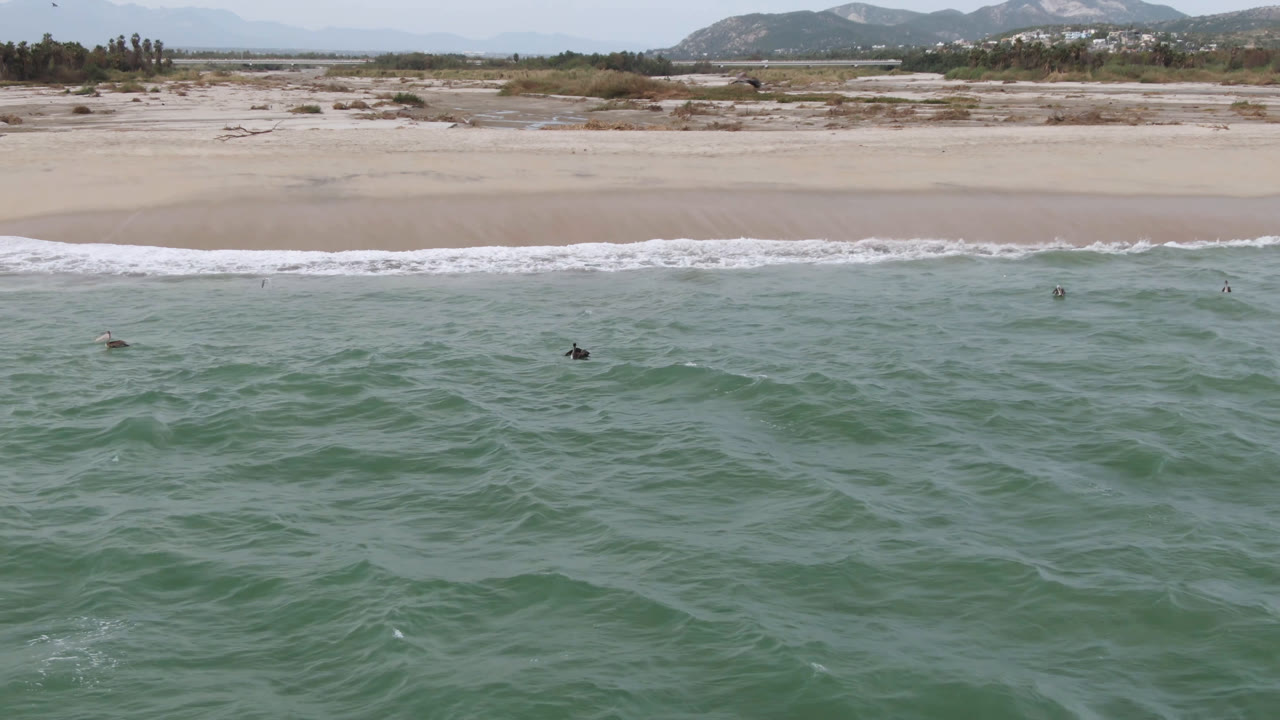 Aerial view near San Jose del Cabo with green ocean in the foreground, several small surfers offshore, white surf on the sand, and hazy hills in the distance.