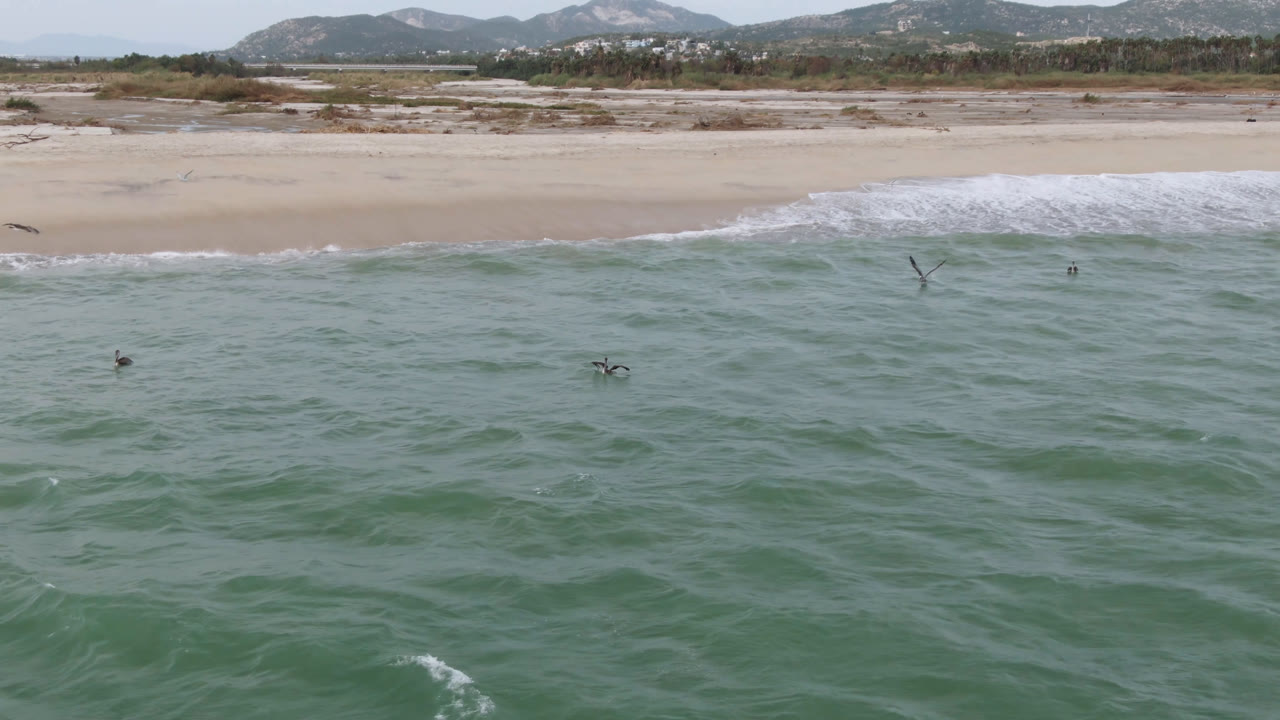 At 0:00, birds fly low over green-blue water toward a pale beach in San Jose del Cabo, with waves breaking near shore, distant hills, and no visible people.