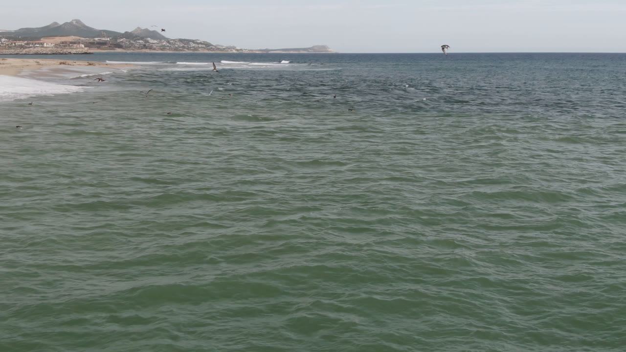 Ocean surface with birds above waves and shoreline at left