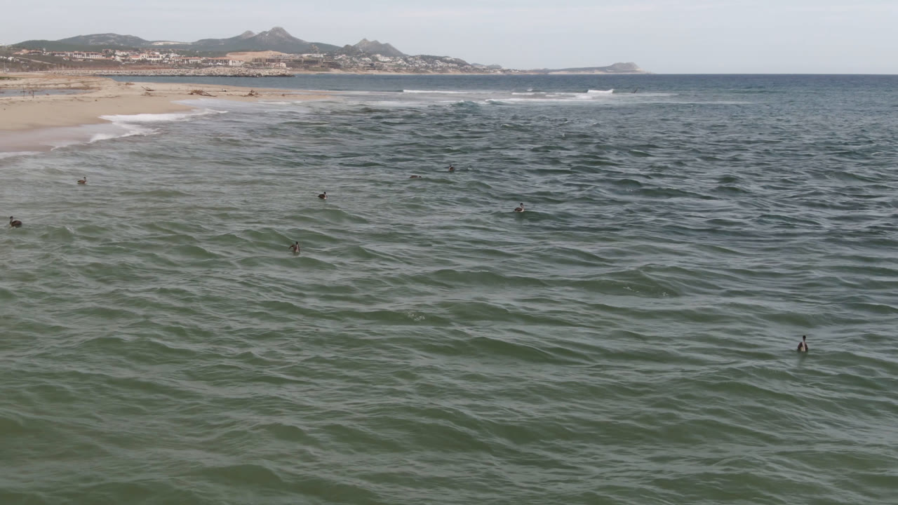 Aerial view in San Jose del Cabo with green-blue ocean in the foreground, several small birds over the water, surf along the sandy beach at left, distant hills on the horizon, and no visible people.