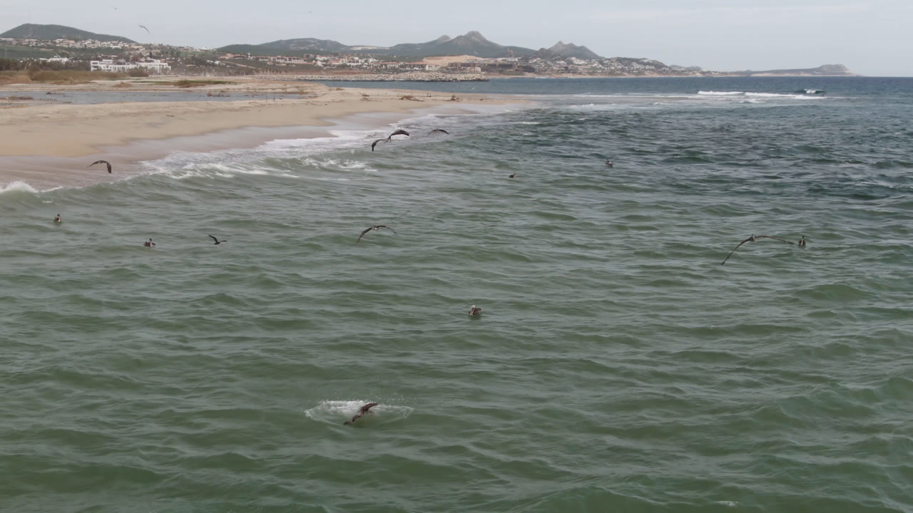 Aerial view of surfers in choppy ocean near a sandy beach.