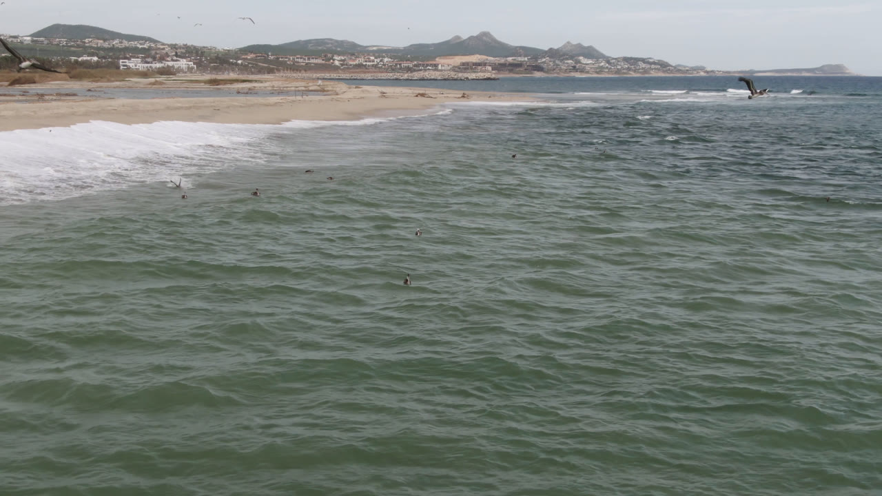 Aerial view of ocean water, beach surf, distant hills, and birds over the coast.