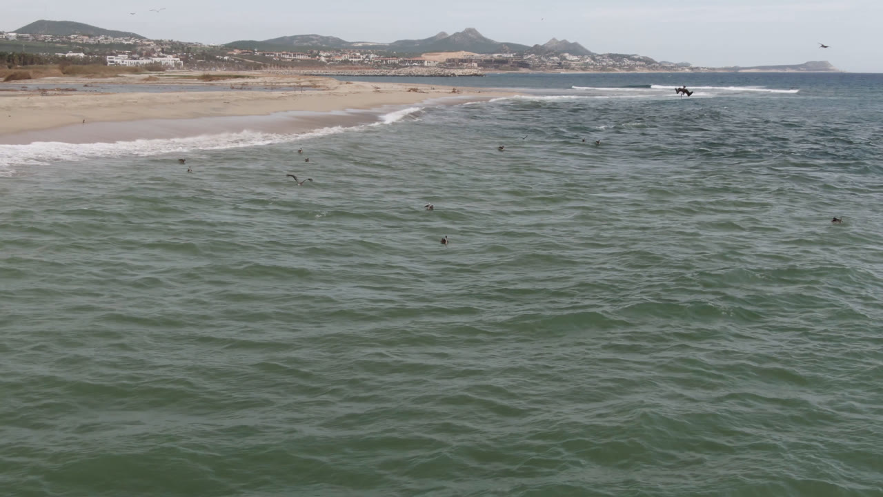 Elevated view over ocean toward surfers and a sandy beach
