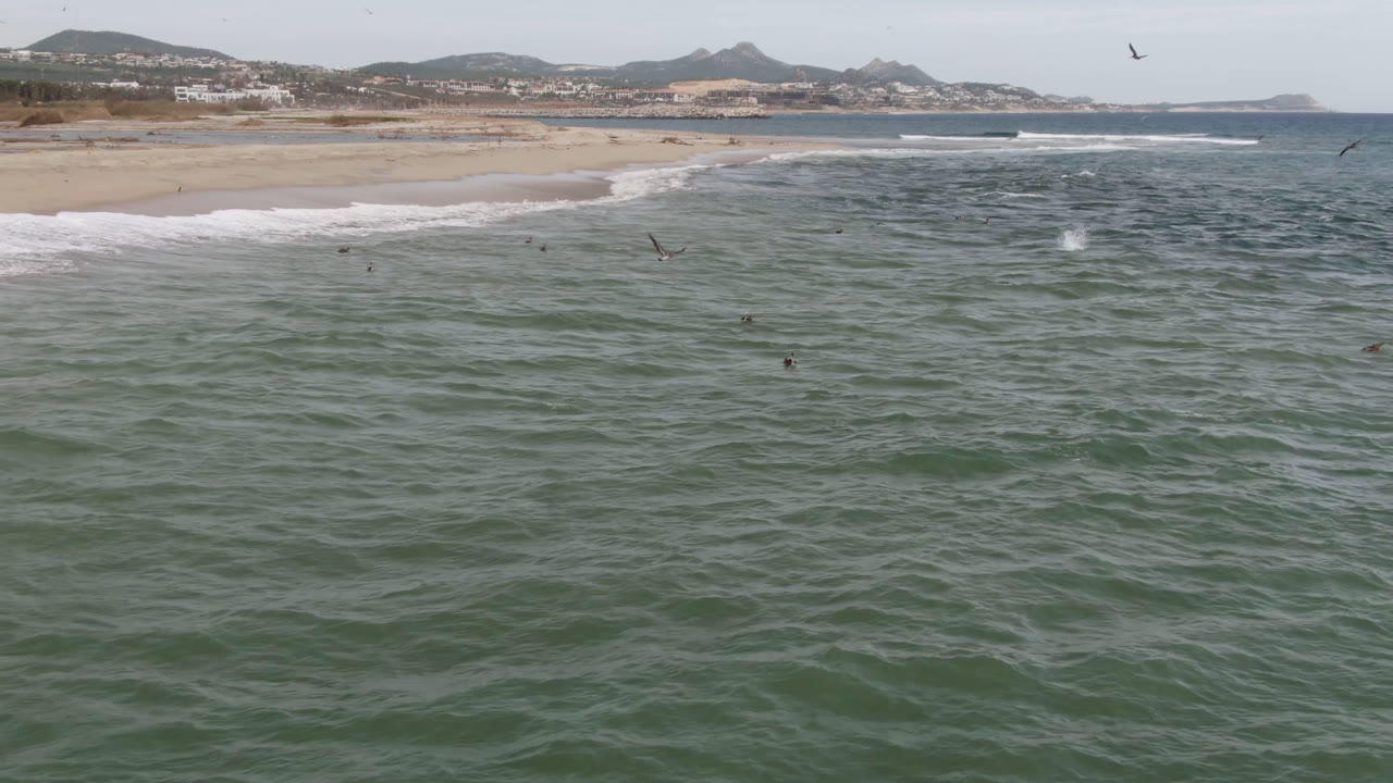 Open ocean fills the foreground as white surf reaches the sand, with small surfers in the water and the San Jose del Cabo coastline in the distance.