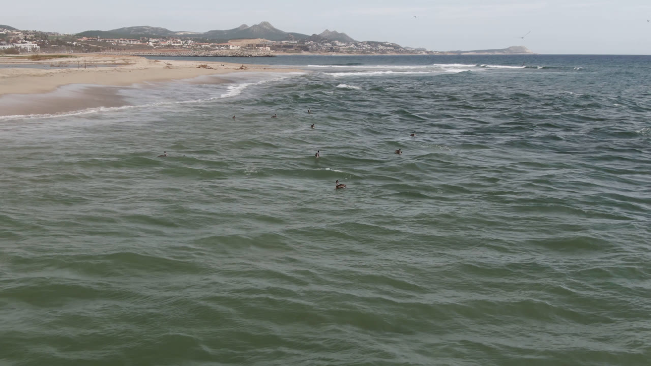 Wide aerial view over green-blue water in San Jose del Cabo, with small surfers or swimmers offshore, white surf at the beach, and low hills in the distance.