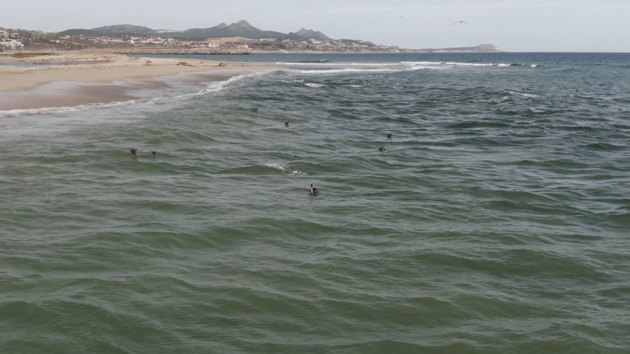 Elevated coastal frame in San Jose del Cabo showing choppy ocean texture, scattered distant surfers, a bright surf line, sandy shore, and hills beyond the beach.