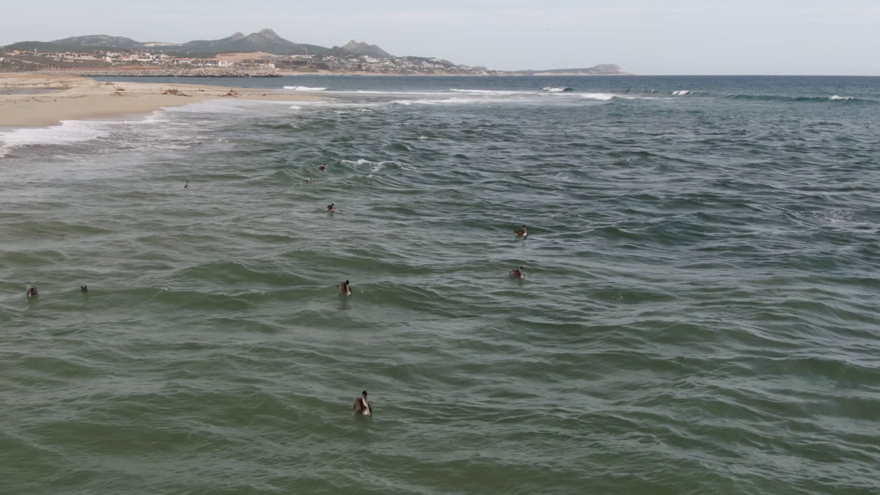 Wide aerial view of surfers in choppy ocean near a sandy beach.