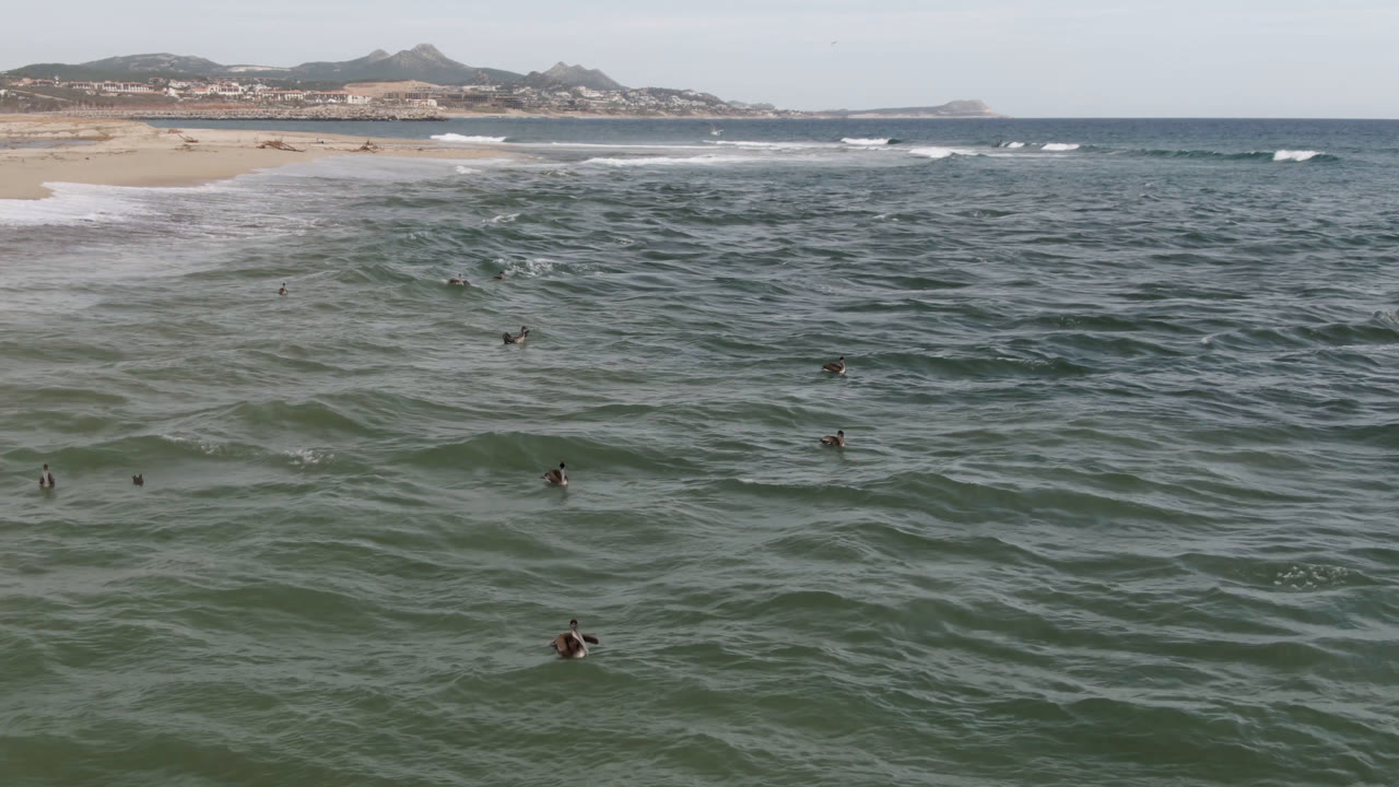 Elevated coastal frame in San Jose del Cabo showing several distant surfers in the midground, white wave sets near the sand, and low hills along the horizon.
