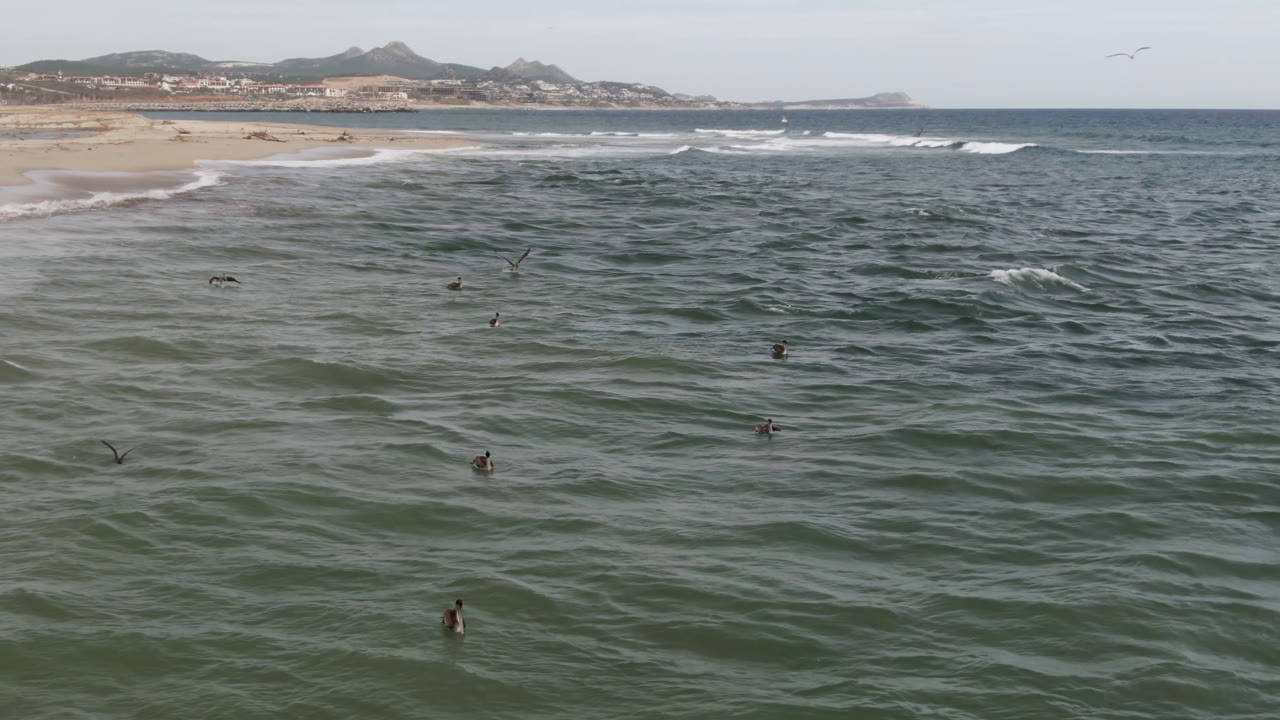 Wide aerial view of swimmers in choppy ocean near a sandy beach