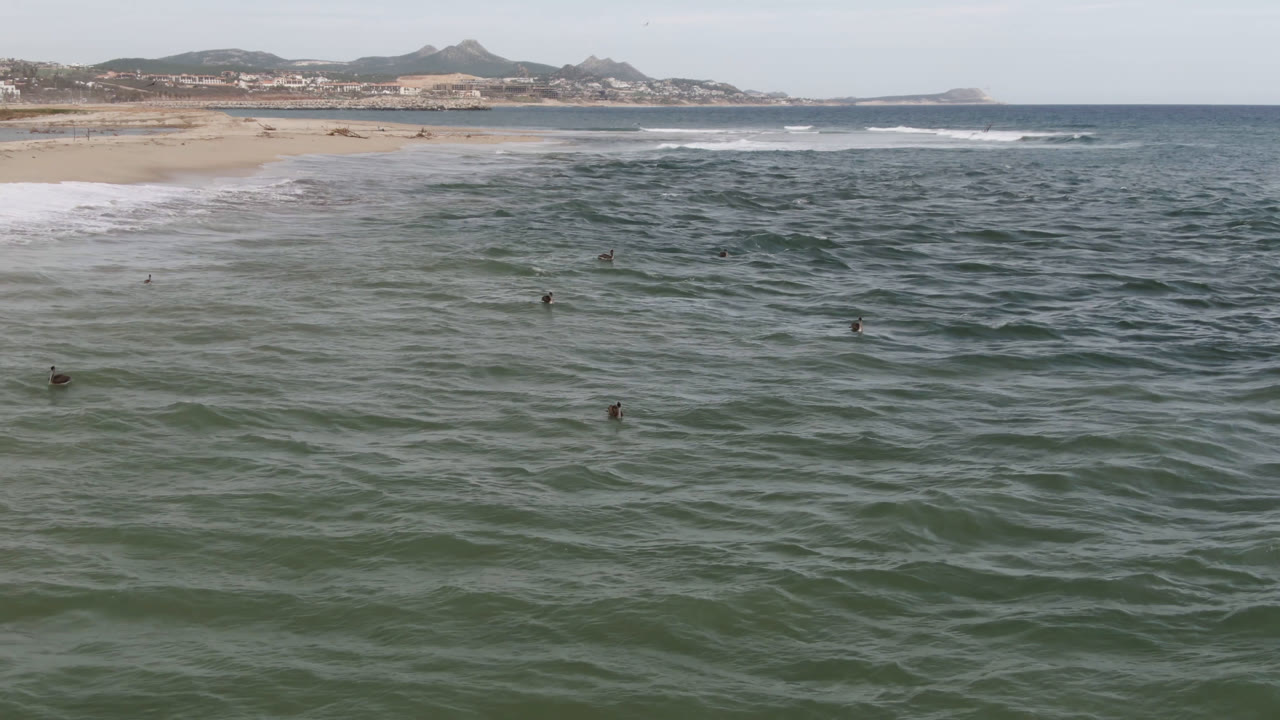 At 0:00, an elevated view shows choppy green-blue ocean with several small swimmers offshore and a sandy San Jose del Cabo beach backed by low hills.