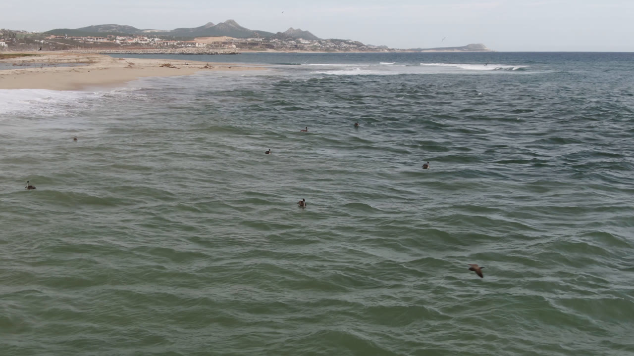 At 0:01, small swimmers are spaced across darker rippled water while white breakers roll toward the San Jose del Cabo shoreline in the background.
