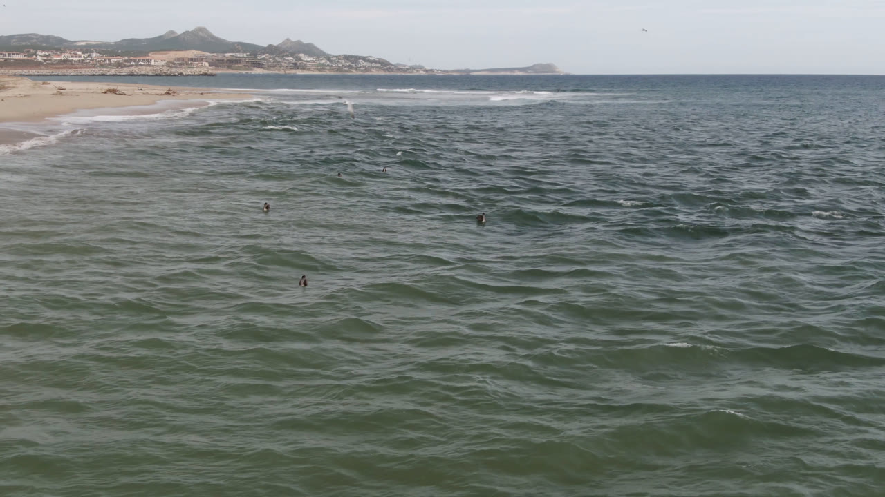 Aerial view over green-blue water at San Jose del Cabo, with small surfers in the midground, white surf on the beach at left, and low hills beyond the shoreline.