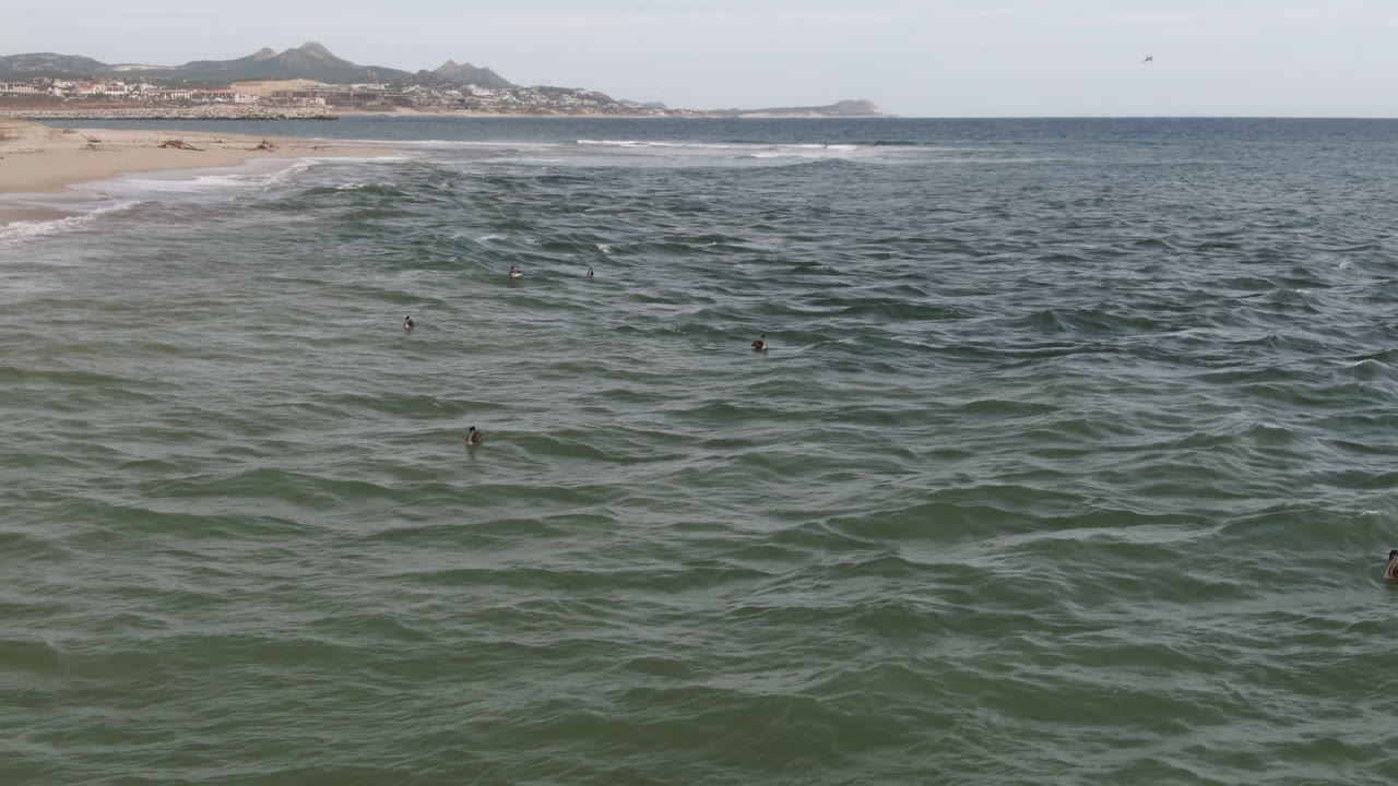 Surfers appear as small figures in the choppy water off San Jose del Cabo, with the sandy shoreline stretching left and a darker blue band of open sea near the horizon.